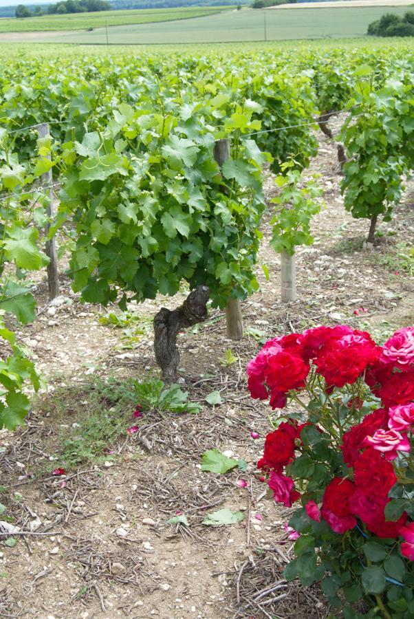 La Pouillyzotte Bed & Breakfast Luaran gambar