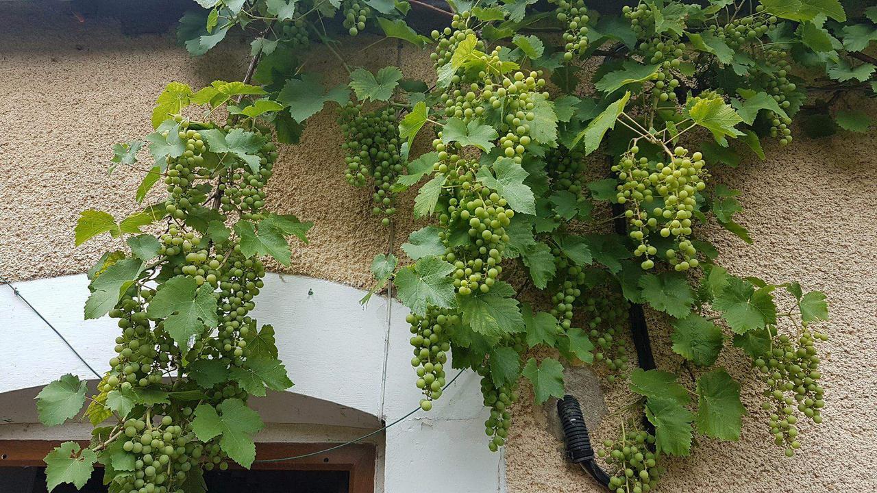 La Pouillyzotte Bed & Breakfast Luaran gambar